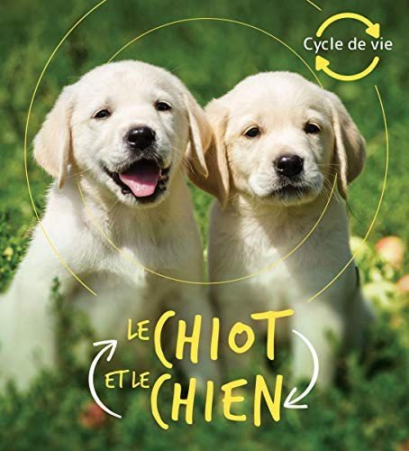 Cover for Camilla De La Bedoyere · Cycle de Vie: Le Chiot Et Le Chien (Paperback Book) (2021)