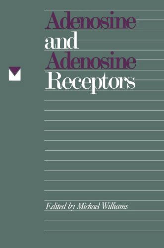 Cover for Michael Williams · Adenosine and Adenosine Receptors - The Receptors (Pocketbok) [Softcover reprint of the original 1st ed. 1990 edition] (2011)