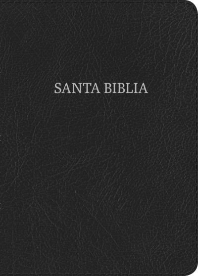 Cover for B&amp;H Español Editorial Staff · NVI Biblia Letra Gigante negro, piel fabricada (Leather Book) (2018)