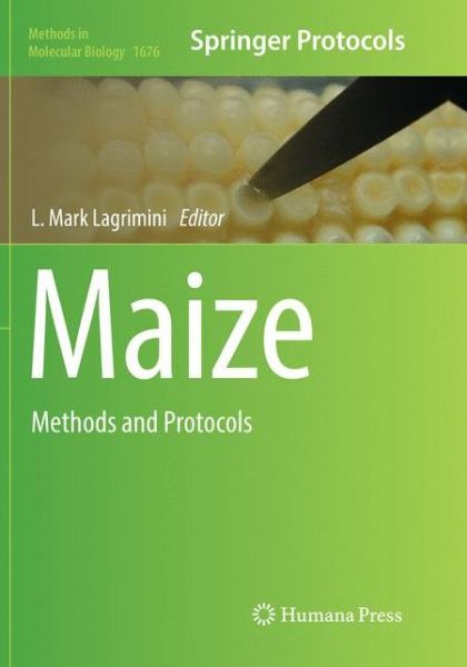 Cover for Maize: Methods and Protocols - Methods in Molecular Biology (Paperback Book) [Softcover reprint of the original 1st ed. 2018 edition] (2018)