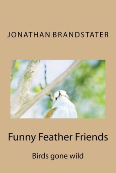 Jonathan Jay Brandstater · Funny Feather Friends (Paperback Book) (2015)