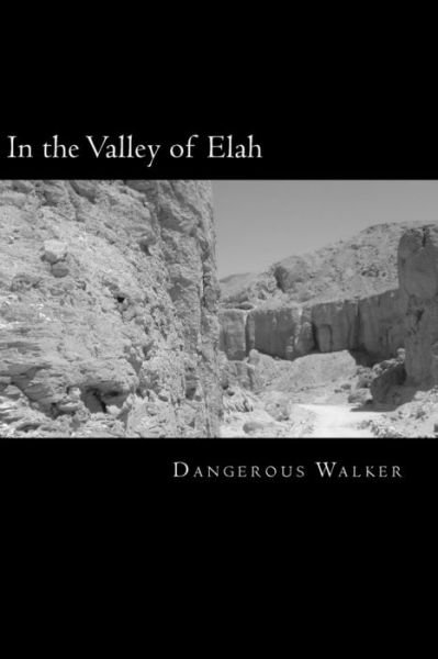 Cover for Dangerous Walker · In the Valley of Elah (Paperback Book) (2015)
