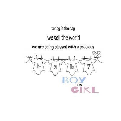 Cover for Barefoot Buddies Books · Today Is the Day We Tell the World! Gender Reveal (Paperback Book) (2017)