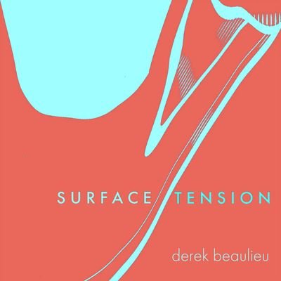 Surface Tension - Derek Beaulieu - Books - Coach House Books - 9781552454503 - October 20, 2022