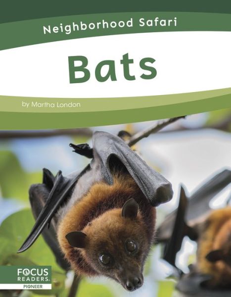 Bats - Neighborhood Safari - Martha London - Books - North Star Editions - 9781644933503 - August 1, 2020