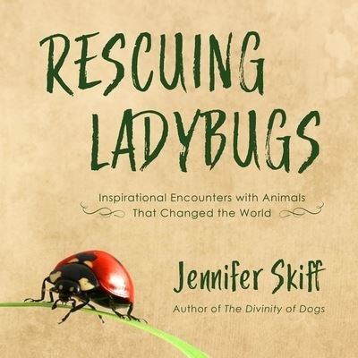 Cover for Jennifer Skiff · Rescuing Ladybugs (CD) (2018)