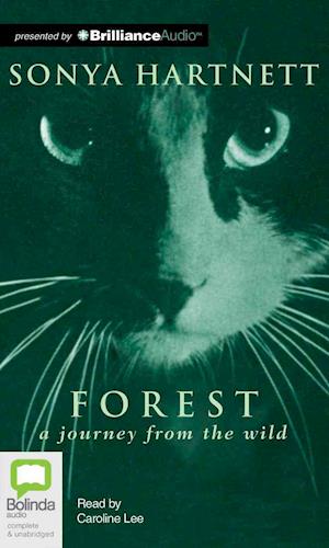 Cover for Sonya Hartnett · Forest (Audiobook (CD)) [Unabridged edition] (2013)