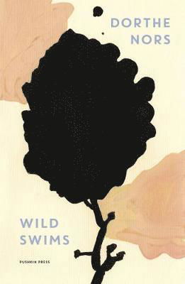 Cover for Dorthe Nors · Wild Swims (Paperback Bog) (2020)