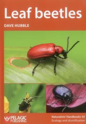 Cover for Dave Hubble · Leaf beetles - Naturalists' Handbooks (Paperback Book) (2017)