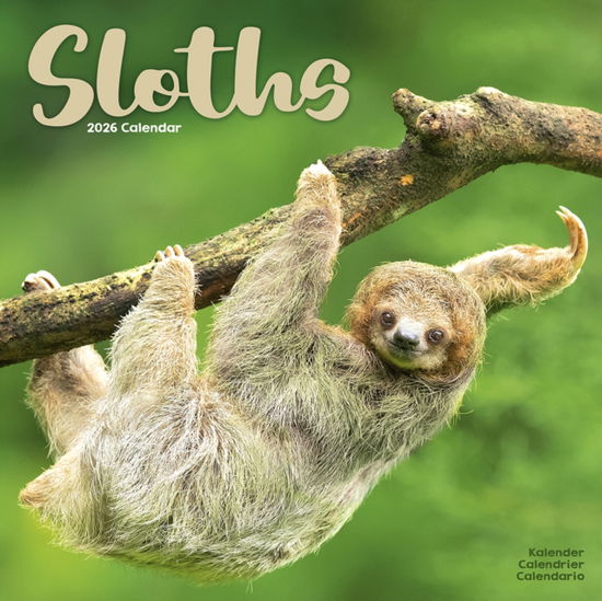 Cover for Sloths Calendar 2026  Square Animal Wall Calendar - 16 Month (Calendar) (2025)