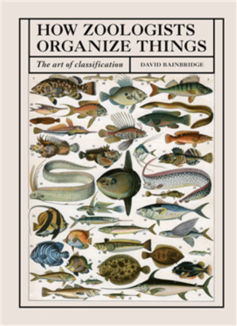 Cover for David Bainbridge · How Zoologists Organize Things (Paperback Book) (2025)