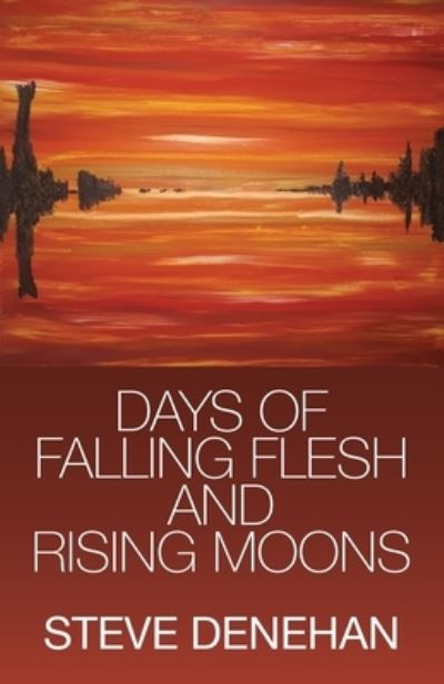 Cover for Steve Denehan · Days of Falling Flesh and Rising Moons (Paperback Book) (2020)