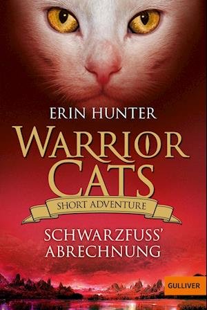 Cover for Erin Hunter · Warrior Cats Short Adventure - SchwarzfuÃŸ' Abrechnung (Buch)