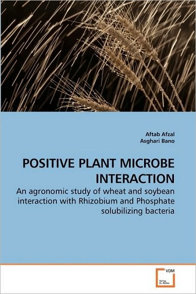 Cover for Asghari Bano · Positive Plant Microbe Interaction: an Agronomic Study of Wheat and Soybean Interaction with Rhizobium and Phosphate Solubilizing Bacteria (Paperback Book) (2010)
