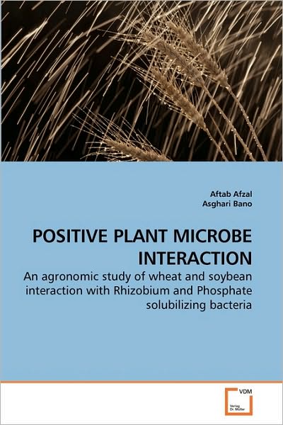 Cover for Asghari Bano · Positive Plant Microbe Interaction: an Agronomic Study of Wheat and Soybean Interaction with Rhizobium and Phosphate Solubilizing Bacteria (Taschenbuch) (2010)