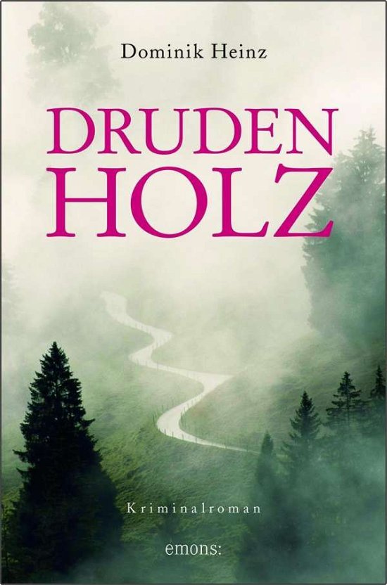 Cover for Heinz · Drudenholz (Bok)