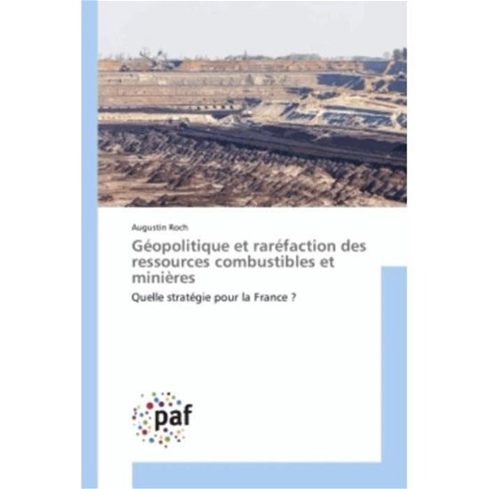Cover for Roch · Géopolitique et raréfaction des re (Book)