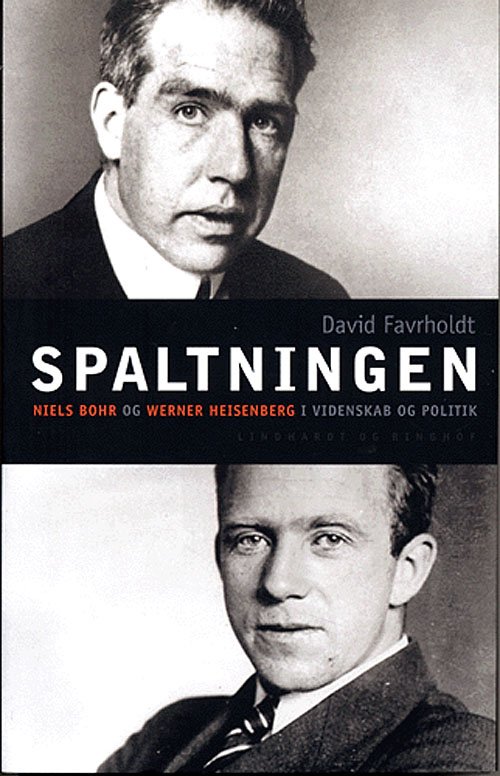 Cover for David Favrholdt · Spaltningen (Sewn Spine Book) [1.º edición] (2005)