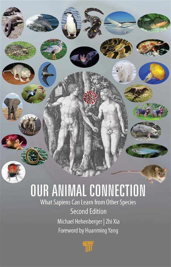 Cover for Michael Hehenberger · Our Animal Connection: What Sapiens Can Learn from Other Species (Hardcover Book) (2020)