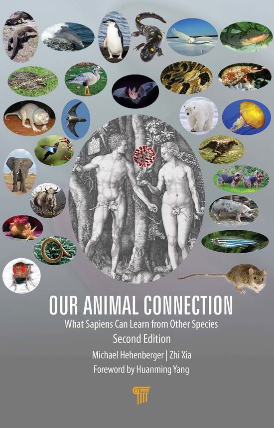 Cover for Michael Hehenberger · Our Animal Connection: What Sapiens Can Learn from Other Species (Gebundenes Buch) (2020)