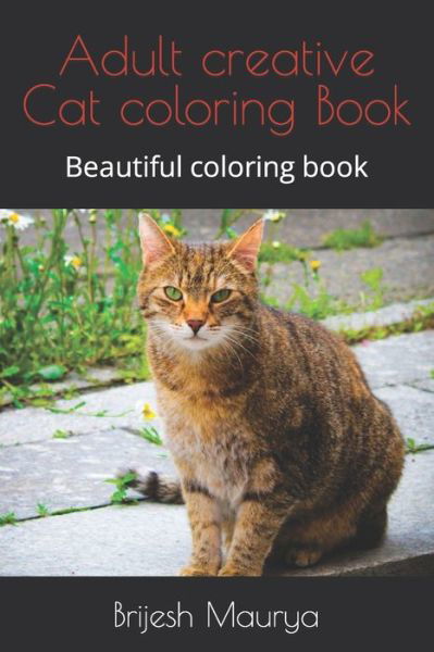 Cover for Brijesh Maurya · Adult creative Cat coloring Book (Paperback Book) (2022)