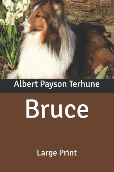 Cover for Albert Payson Terhune · Bruce (Pocketbok) (2020)