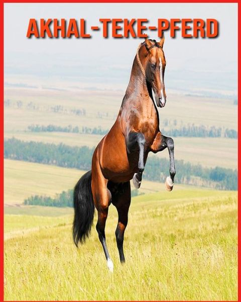 Cover for Annie Nichols · Akhal-Teke-Pferd (Paperback Book) (2021)