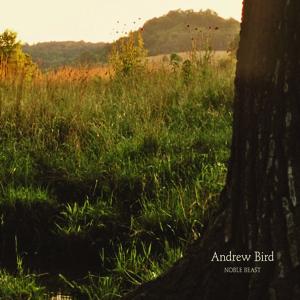 Noble Beast - Andrew Bird - Musikk - BELLA UNION - 0602517950504 - 28. juli 2017