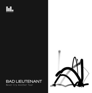 Cover for Bad Lieutenant · Never Cry Another TEAR - NEW ORDER OFFSPRING (CD) [Limited edition] (2009)