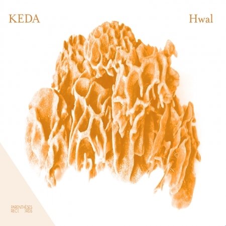Cover for Keda · Hwal (CD) (2022)