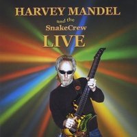 Cover for Harvey Mandel · Live at Biscuit &amp; Blues (CD) (2012)