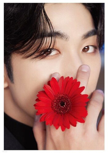 Cover for Nu'est · Dicon D'festa Nu'est (Baekho) (Book) (2022)