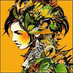 Cover for DJ Okawari · Kaleidoscope (CD) [Japan Import edition] (2011)