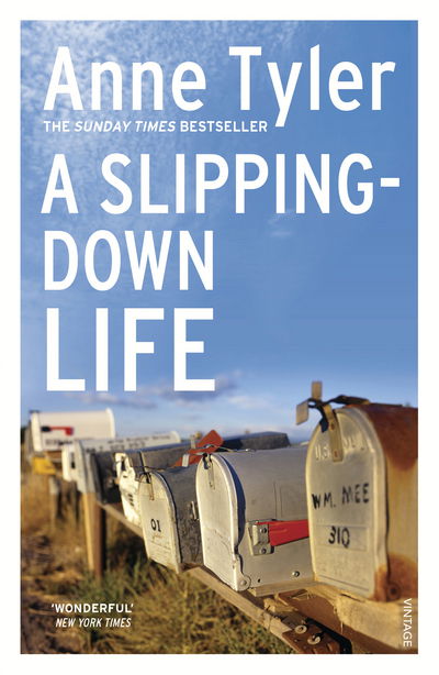 A Slipping Down Life - Anne Tyler - Kirjat - Vintage Publishing - 9780099517504 - torstai 15. marraskuuta 1990