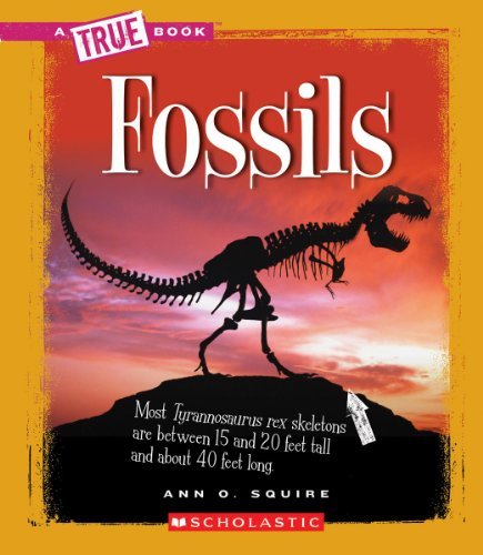 Cover for Ann O. Squire · Fossils (A True Book: Earth Science) - A True Book: Earth Science (Paperback Book) (2012)