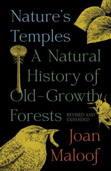 Cover for Joan Maloof · Nature's Temples: A Natural History of Old-Growth Forests Revised and Expanded (Paperback Book) (2023)