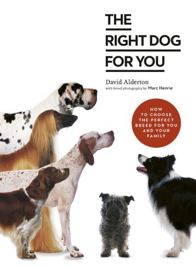 Cover for David Alderton · The Right Dog for You: How to choose the perfect breed for you and your family (Paperback Book) (2021)