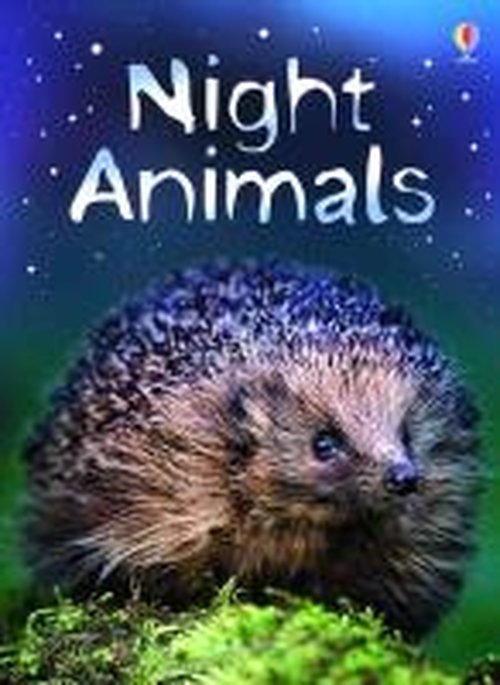 Night Animals - Beginners - Susan Meredith - Böcker - Usborne Publishing Ltd - 9780746080504 - 29 juni 2007