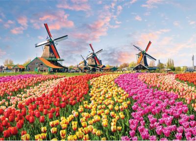 Cover for Peter Pauper Press Inc. · Windmills and Tulips 1000 Piece Jigsaw Puzzle (N/A) (2021)