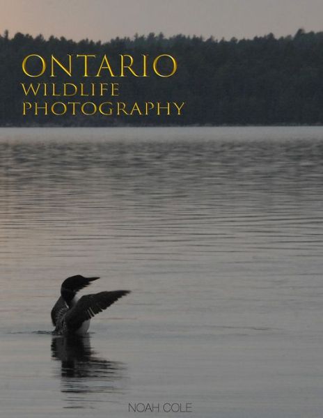 Cover for Noah Cole · Ontario Wildlife Photography (Hardcover Book) (2022)