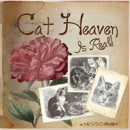 Cover for D C Blackbird · Cat Heaven is Real (Paperback Bog) (2012)