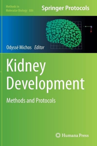 Cover for Odyss Michos · Kidney Development: Methods and Protocols - Methods in Molecular Biology (Hardcover Book) [2012 edition] (2012)