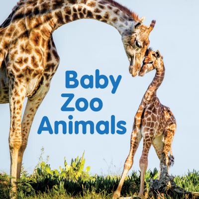 Cover for New Holland Publishers · Baby Zoo Animals: Board book (Kartonbuch) (2022)