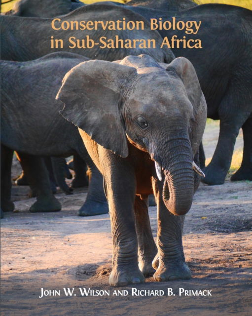 Cover for John W Wilson · Conservation Biology in Sub-Saharan Africa (Paperback Book) (2019)