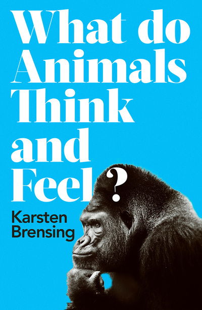 Cover for Karsten Brensing · What Do Animals Think and Feel? (Hardcover Book) (2019)