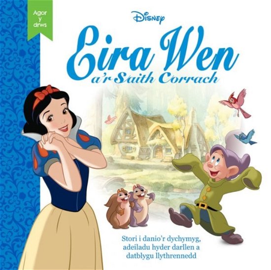 Cover for Disney · Cyfres Disney Agor y Drws: Eira Wen (Hardcover Book) (2023)