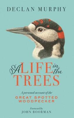 Cover for Declan Murphy · A Life In The Trees: A Personal Account of the Great Spotted Woodpecker (Paperback Book) (2018)