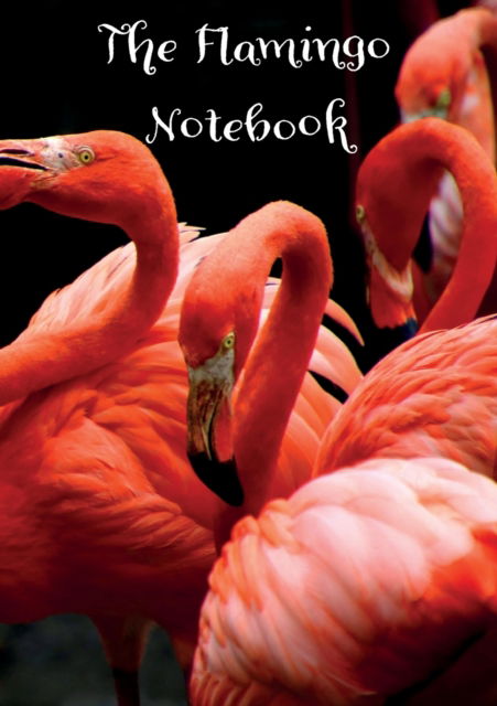 Cover for Vivienne Ainslie · Flamingo A5 Notebook / Journal (Paperback Book) (2019)