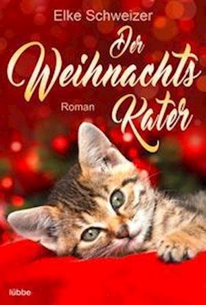 Cover for Elke Schweizer · Der Weihnachtskater (Paperback Book) (2021)