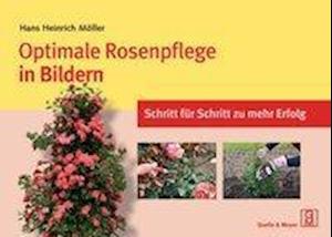 Cover for Möller · Optimale Rosenpflege in Bildern (Book)